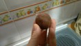 /album/fotogaleria/img-20160117-192337-jpg1/